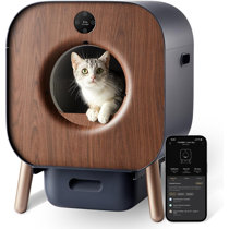 New automatic outlet litter box